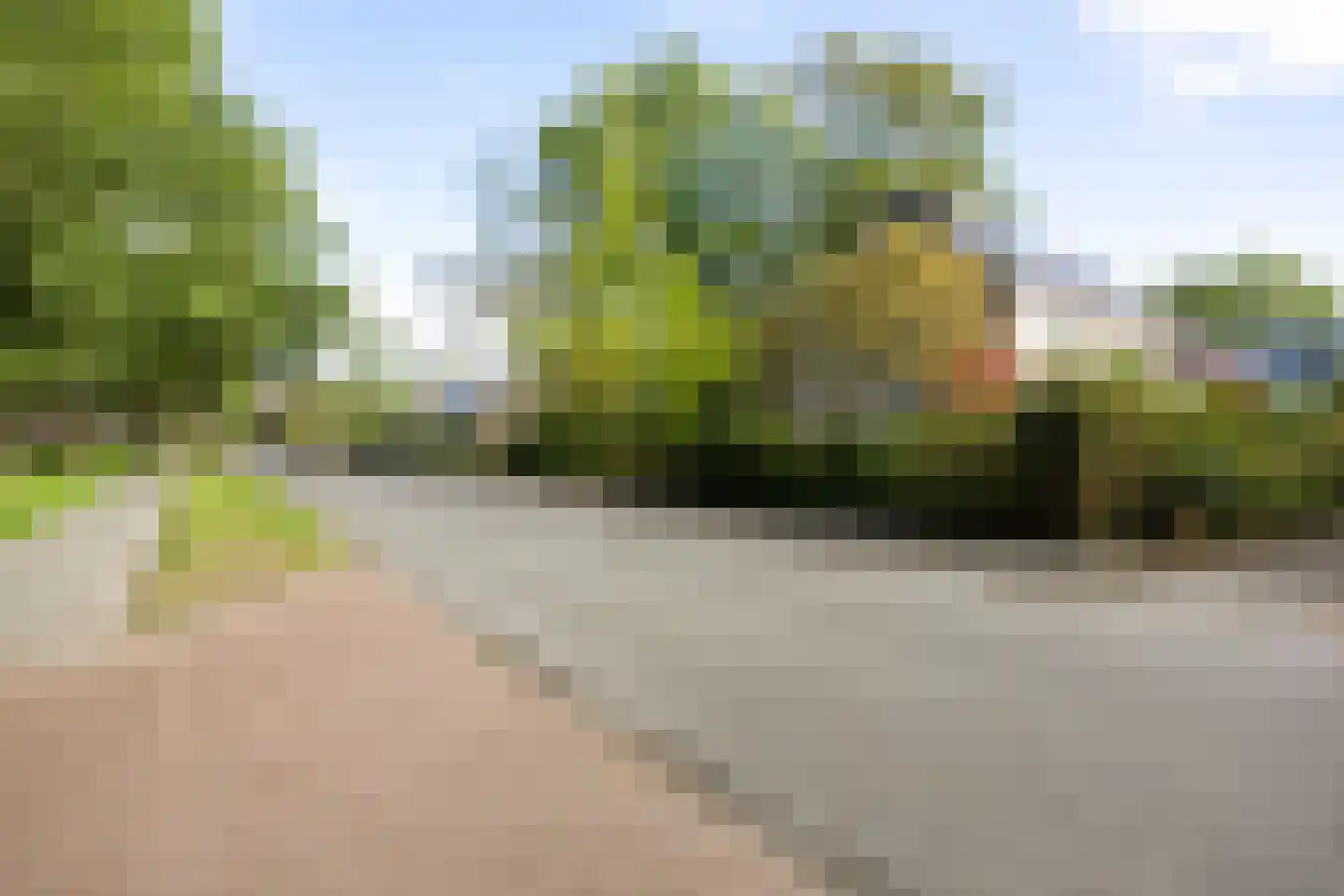 Zonnebloemweg 21 Paterswolde thumbnail 64