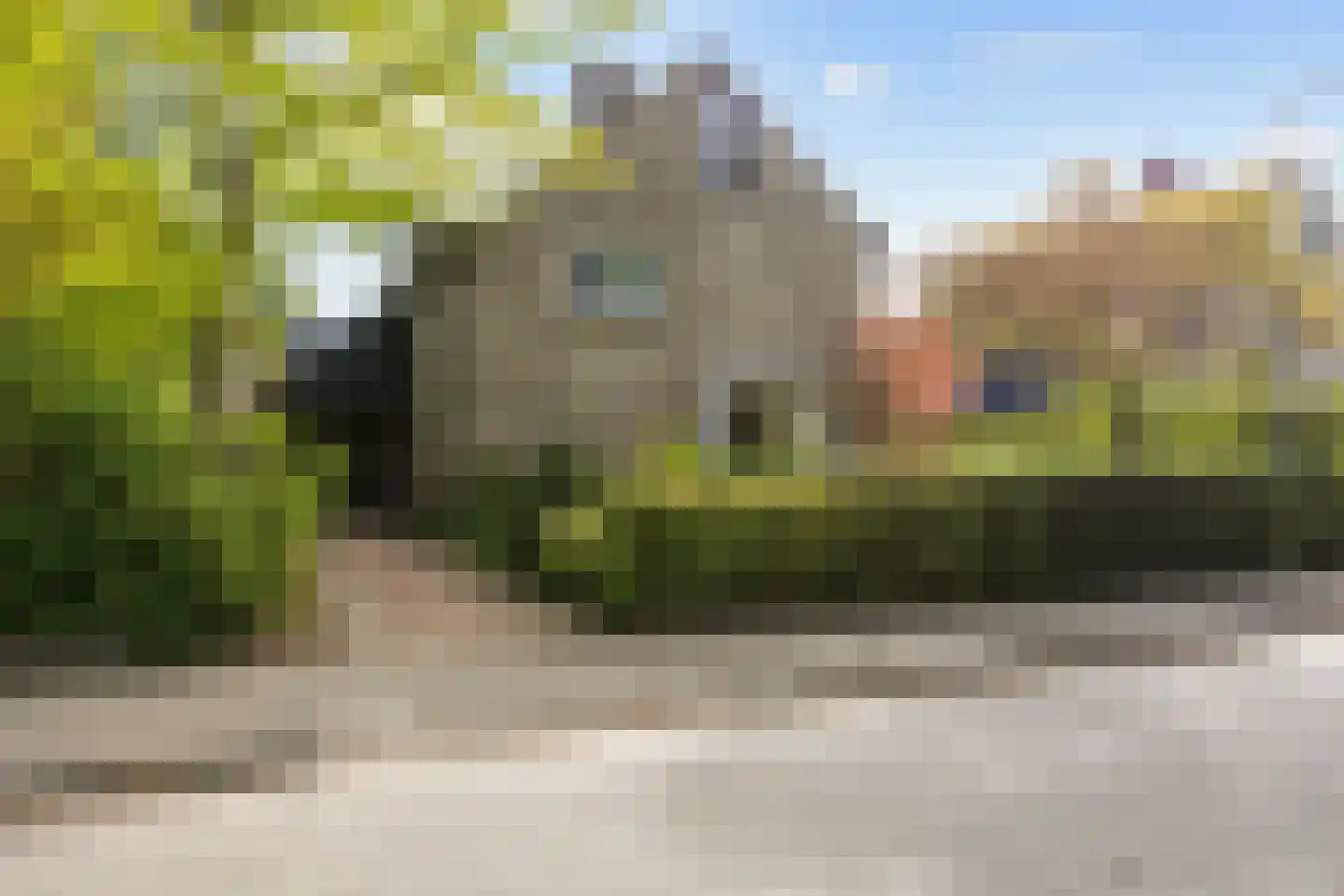 Zonnebloemweg 21 Paterswolde thumbnail 7