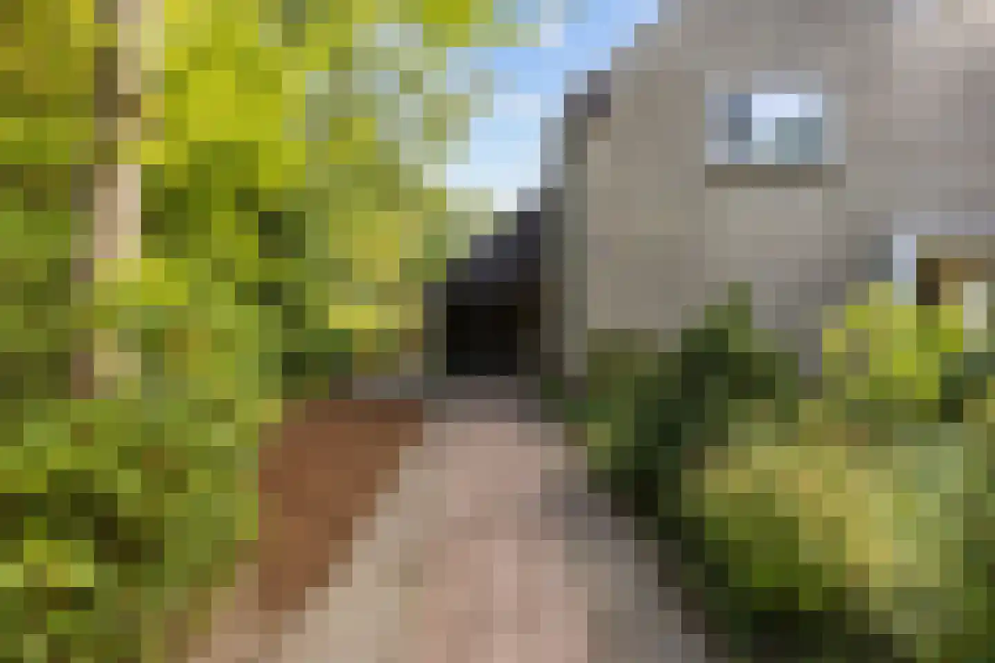 Zonnebloemweg 21 Paterswolde thumbnail 8