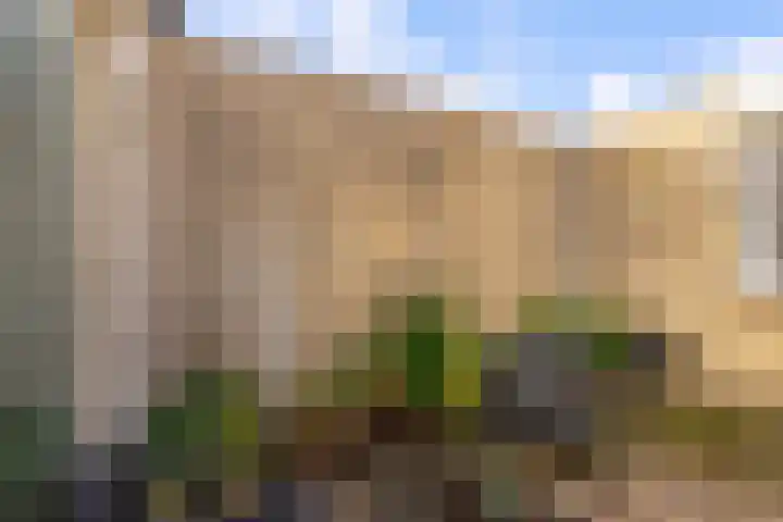Zonnebloemweg 28 Almere thumbnail 36