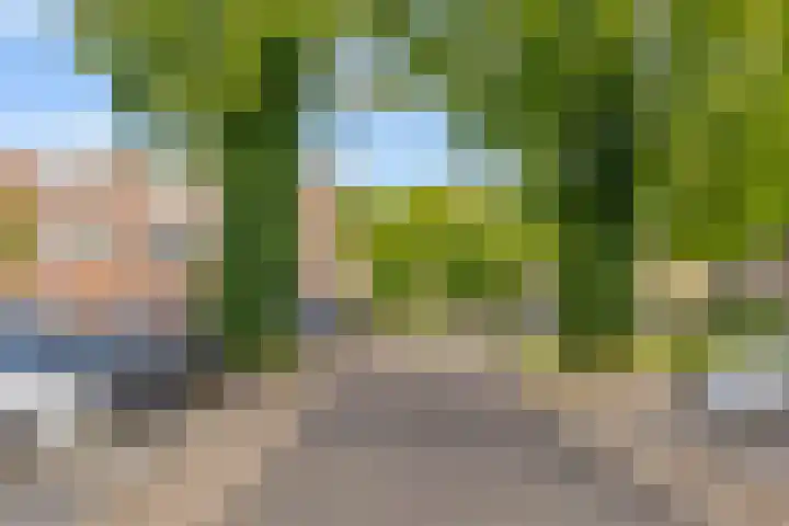 Zonnebloemweg 28 Almere thumbnail 37