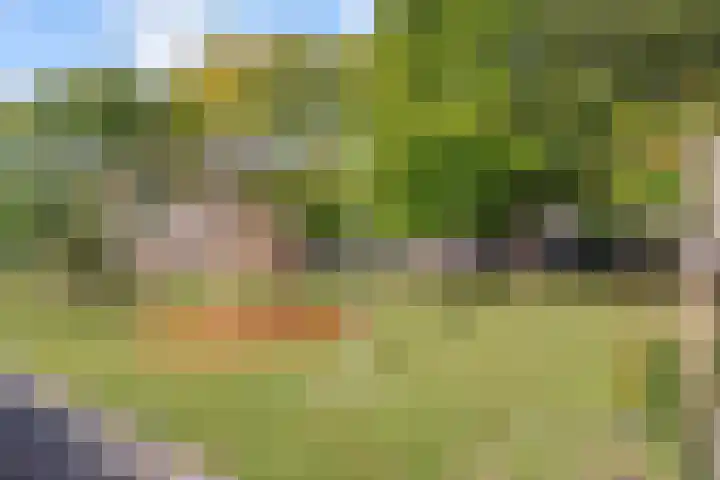 Zonnebloemweg 28 Almere thumbnail 38