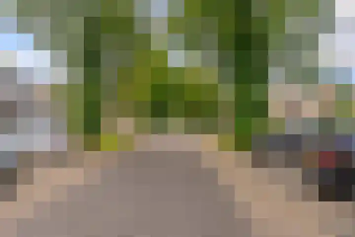 Zonnebloemweg 28 Almere thumbnail 39