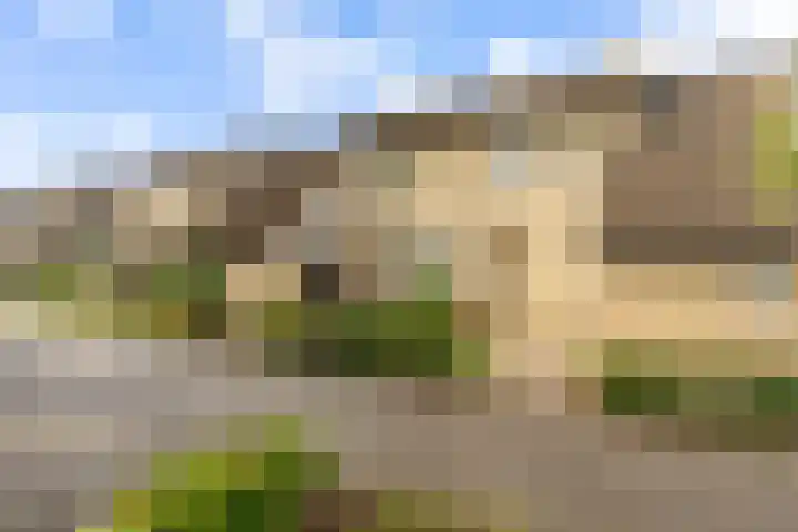 Zonnebloemweg 28 Almere thumbnail 4