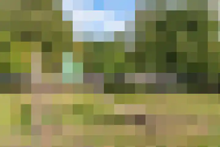 Zonnebloemweg 28 Almere thumbnail 40