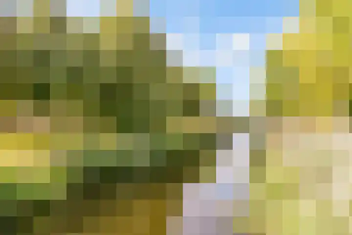 Zonnebloemweg 28 Almere thumbnail 41