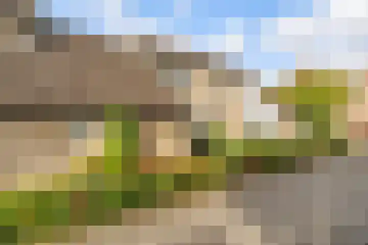 Zonnebloemweg 28 Almere thumbnail 42