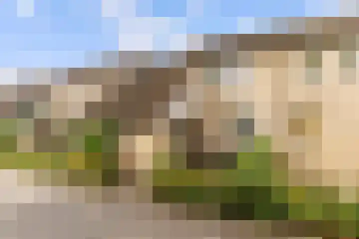 Zonnebloemweg 28 Almere thumbnail 43