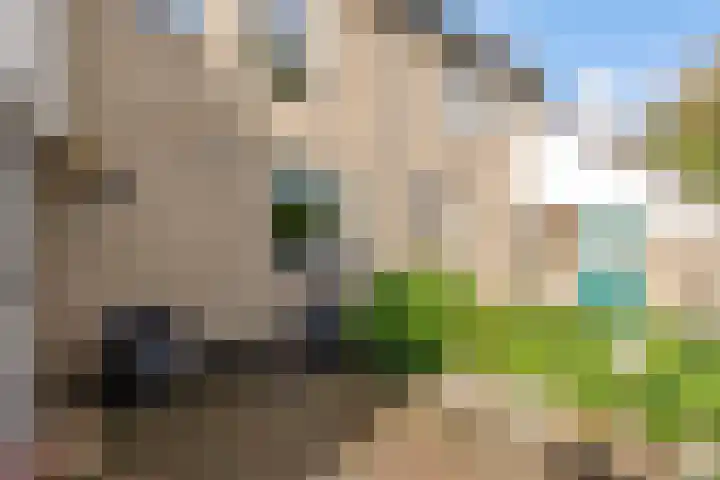 Zonnebloemweg 28 Almere thumbnail 44