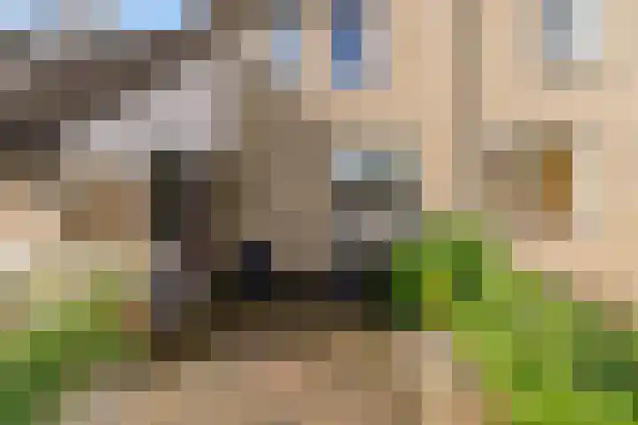 Zonnebloemweg 28 Almere thumbnail 5