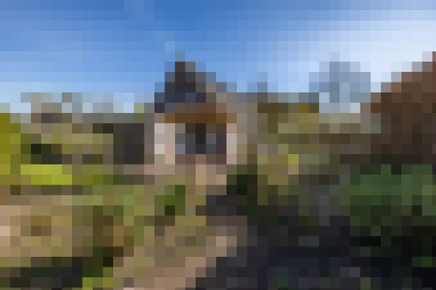 Zonnebloemweg 6 Paterswolde