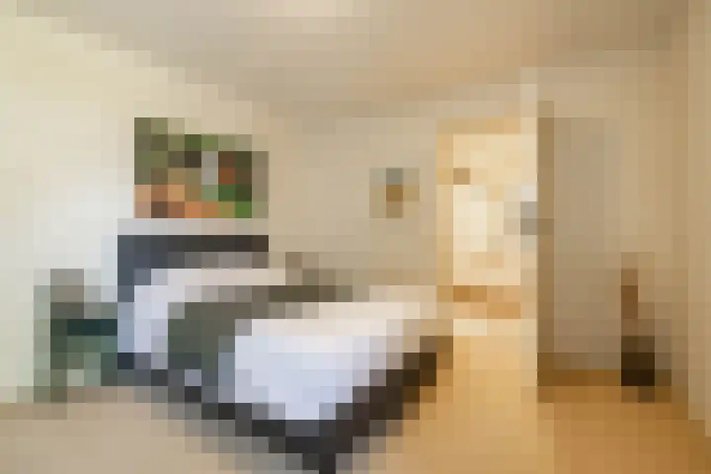 Zonnebloemweg 6 Paterswolde thumbnail 17