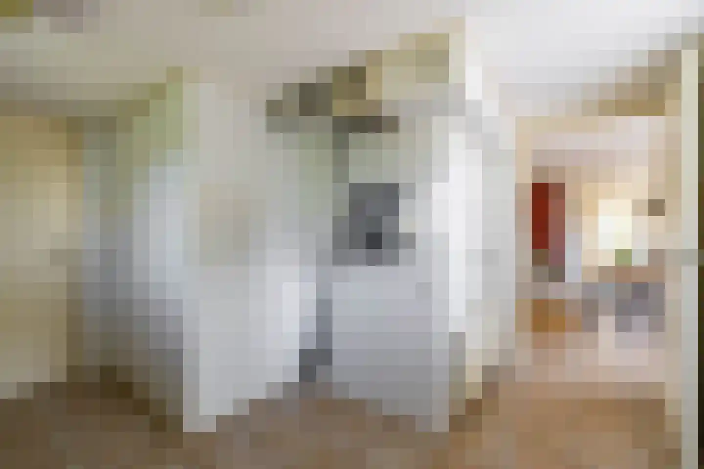 Zonnebloemweg 6 Paterswolde thumbnail 21