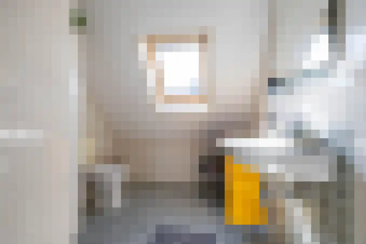 Zonnebloemweg 6 Paterswolde thumbnail 37