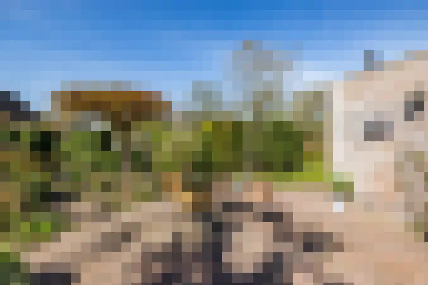 Zonnebloemweg 6 Paterswolde thumbnail 39