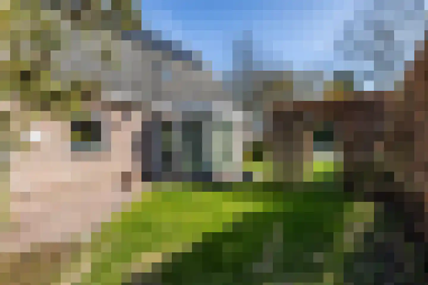 Zonnebloemweg 6 Paterswolde thumbnail 41
