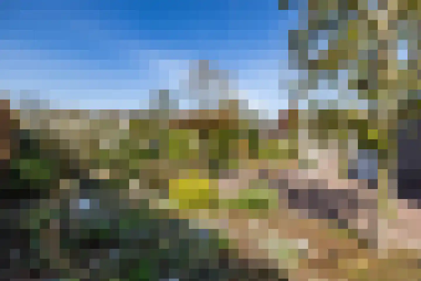 Zonnebloemweg 6 Paterswolde thumbnail 44