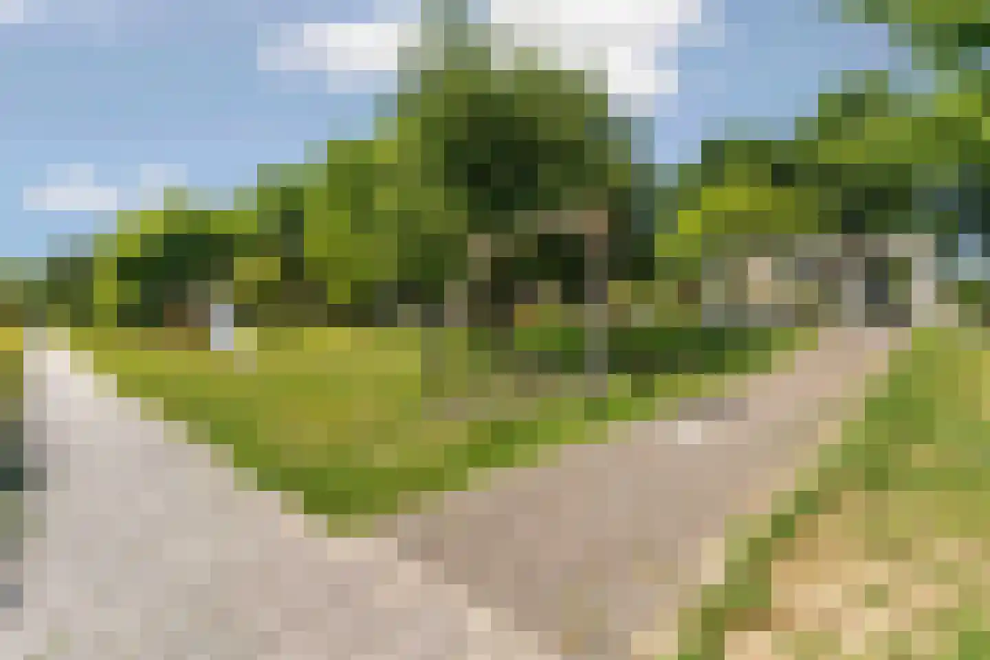 Zonnebloemweg 8 Almere thumbnail 38