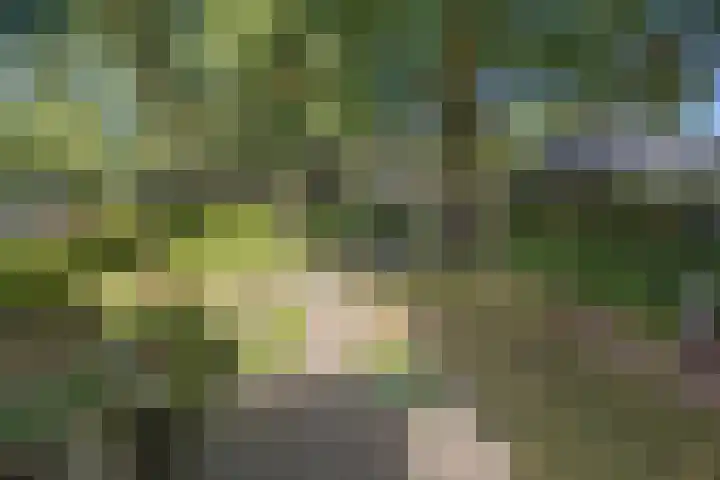 Zonnebos 30 Vught thumbnail 30