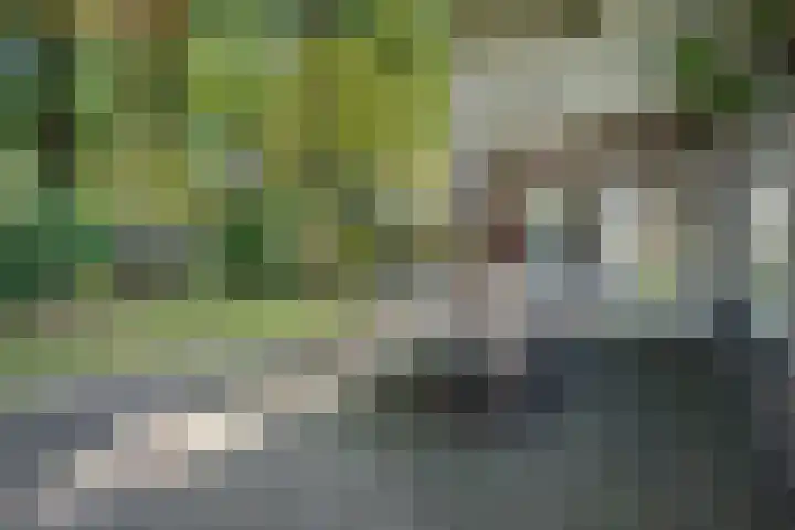 Zonnebos 30 Vught thumbnail 40