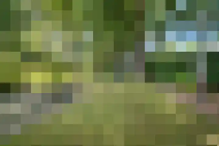 Zonnebos 30 Vught thumbnail 41
