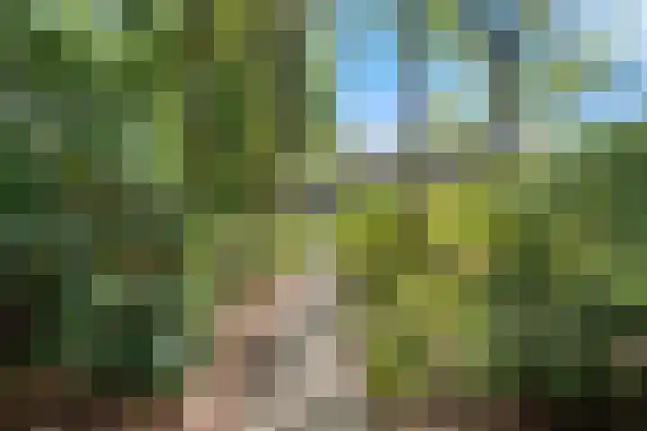 Zonnebos 30 Vught thumbnail 45