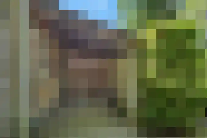 Zonnebos 30 Vught thumbnail 47