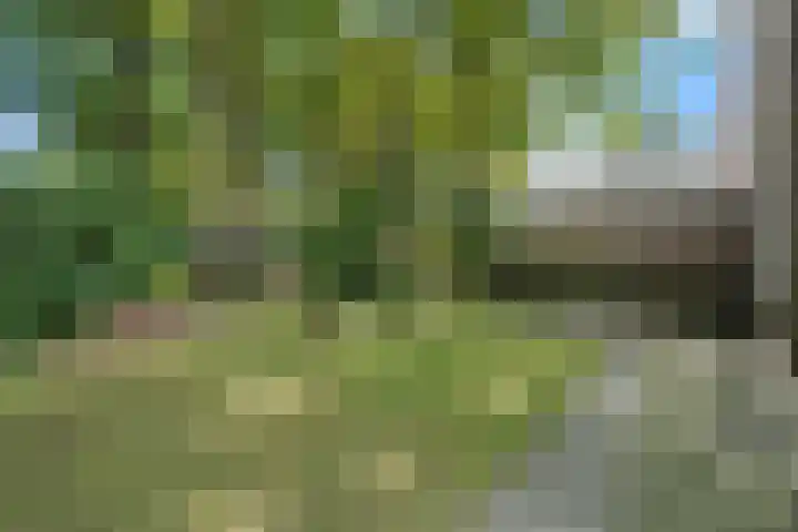 Zonnebos 30 Vught thumbnail 48