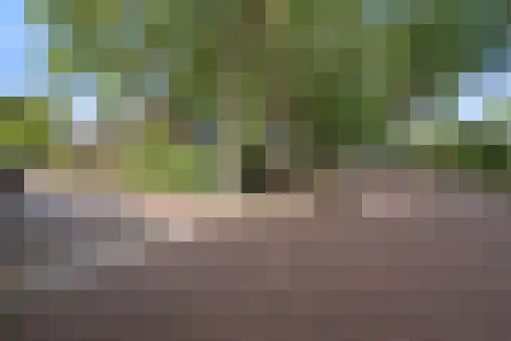 Zonnebos 30 Vught thumbnail 53