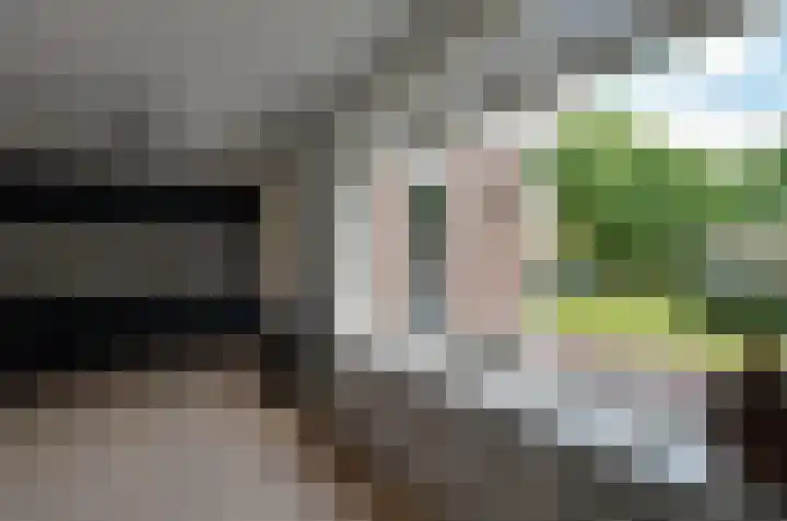 Zonnedauw 1 Bovensmilde thumbnail 12