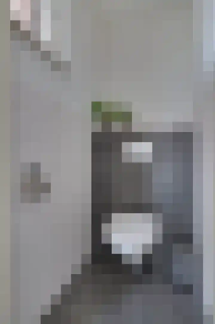 Zonnedauw 1 Bovensmilde thumbnail 15