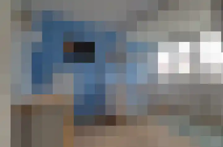 Zonnedauw 1 Bovensmilde thumbnail 19