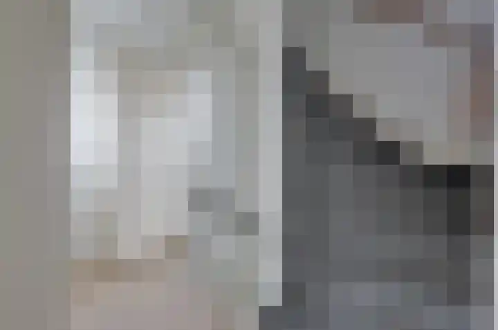 Zonnedauw 1 Bovensmilde thumbnail 25