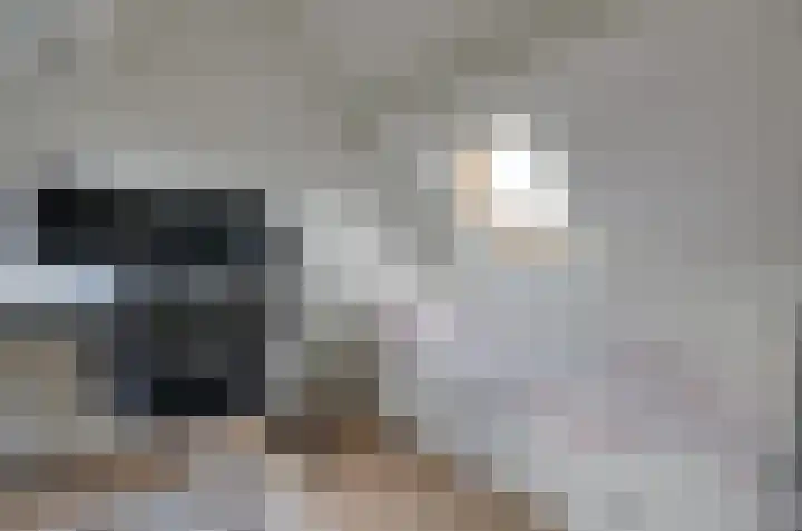 Zonnedauw 1 Bovensmilde thumbnail 27