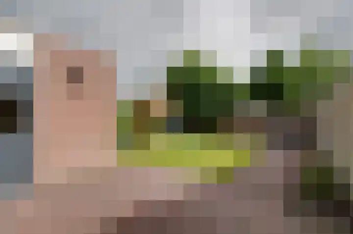 Zonnedauw 1 Bovensmilde thumbnail 29