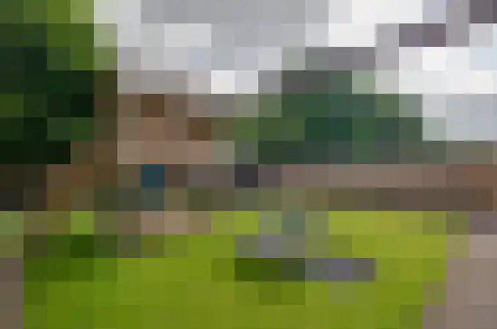 Zonnedauw 1 Bovensmilde thumbnail 30
