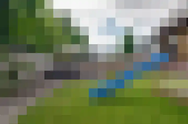 Zonnedauw 1 Bovensmilde thumbnail 31