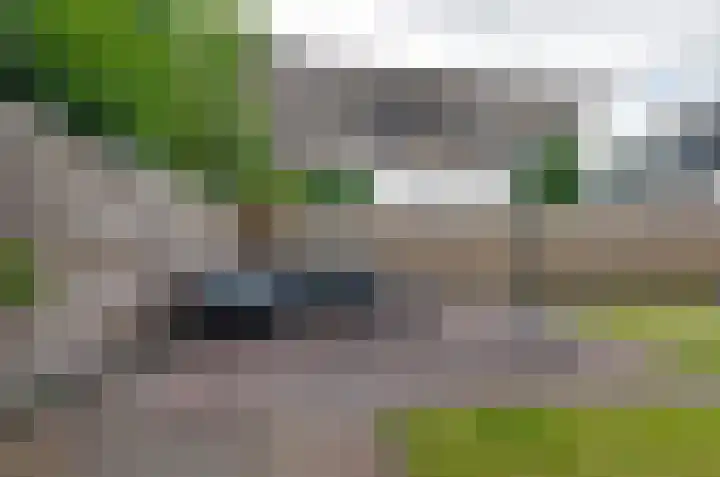 Zonnedauw 1 Bovensmilde thumbnail 32