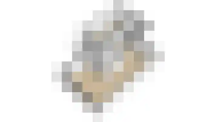 Zonnedauw 1 Bovensmilde thumbnail 36