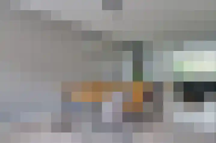 Zonnedauw 1 Bovensmilde thumbnail 8