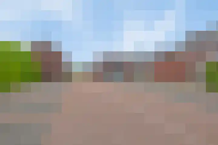 Zonnedauw 1 Mariahout thumbnail 10