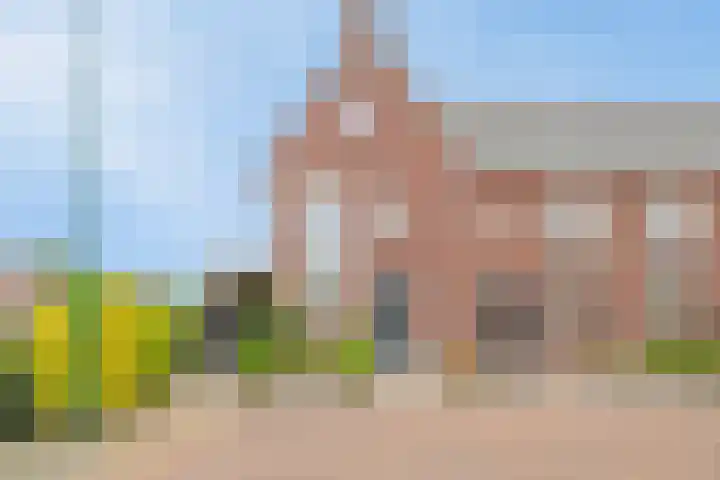 Zonnedauw 1 Mariahout thumbnail 11