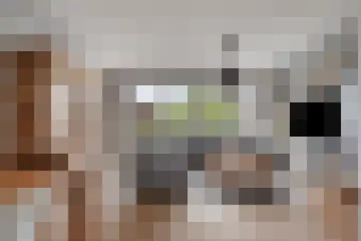 Zonnedauw 1 Mariahout thumbnail 14