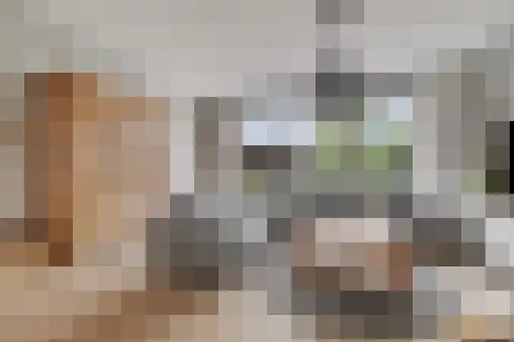 Zonnedauw 1 Mariahout thumbnail 15