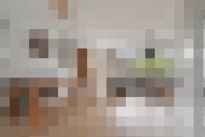 Zonnedauw 1 Mariahout thumbnail 20