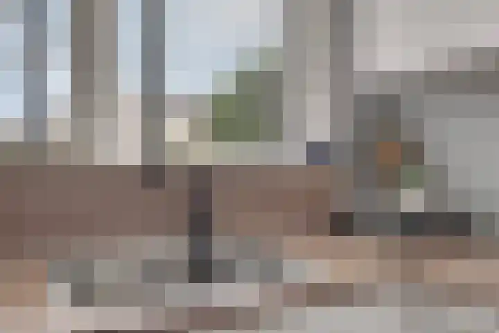Zonnedauw 1 Mariahout thumbnail 25