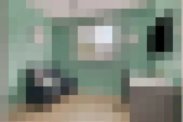 Zonnedauw 1 Mariahout thumbnail 28