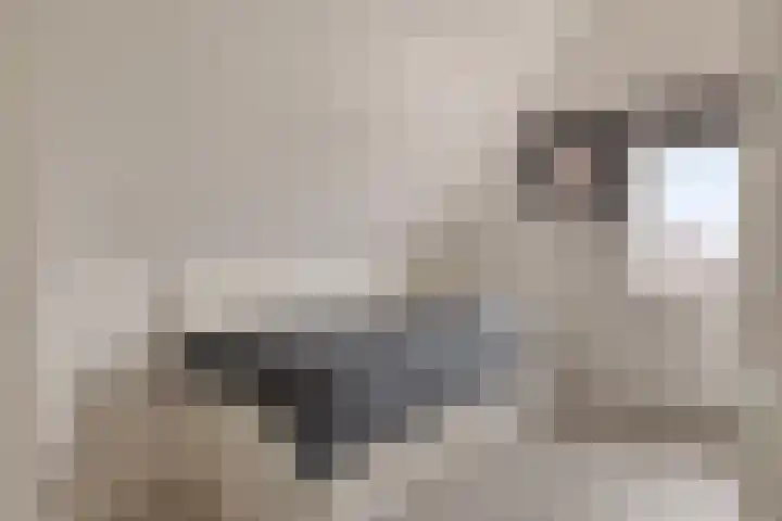 Zonnedauw 1 Mariahout thumbnail 41