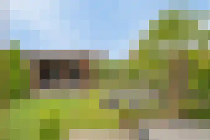 Zonnedauw 1 Mariahout thumbnail 43