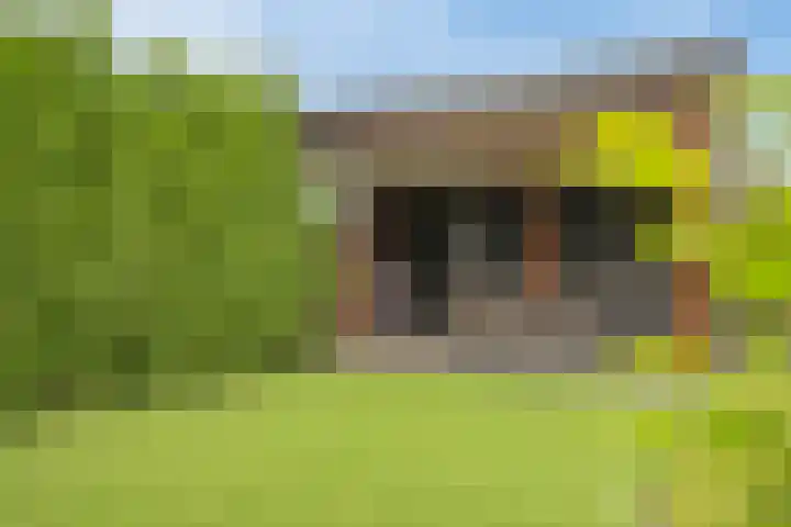 Zonnedauw 1 Mariahout thumbnail 44